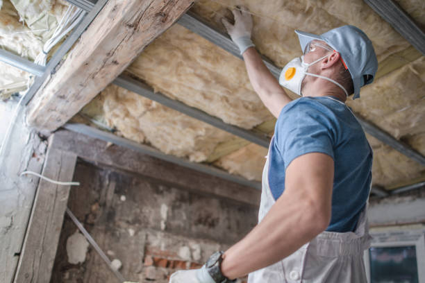 Best Energy-efficient Insulation  in Lake Murray Of Richland, SC
