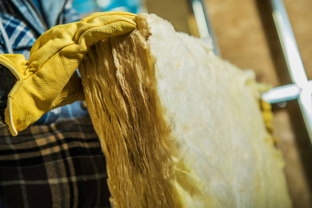 Best Affordable Insulation Services  in Lake Murray Of Richland, SC